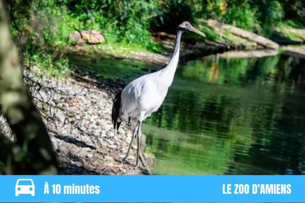 Grand T2 Gare Amiens Tout Confort 2Pers Wifi Екстер'єр фото